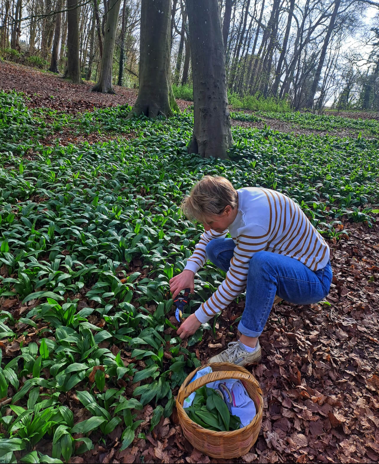 Health journey and wellness transformation